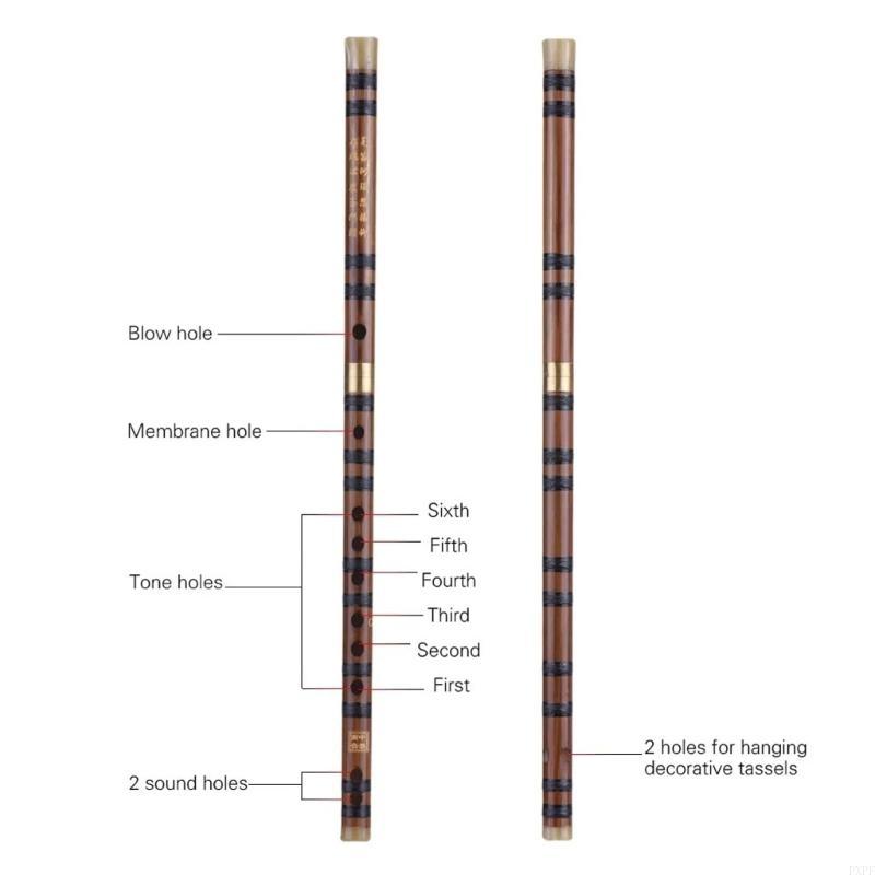 PXPF 학생 대나무 플루트 휴대용 플루트 중국 악기  - Musical Instrument Pipe 리뷰 및 가격